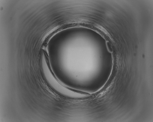 X0000065260826200603031826