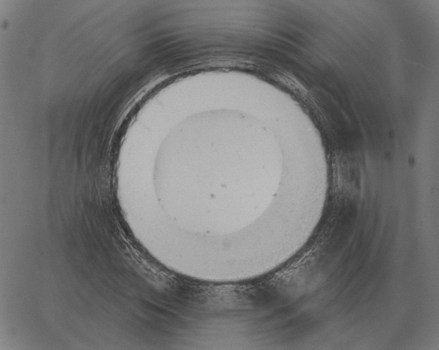 X0000065260828200603031826