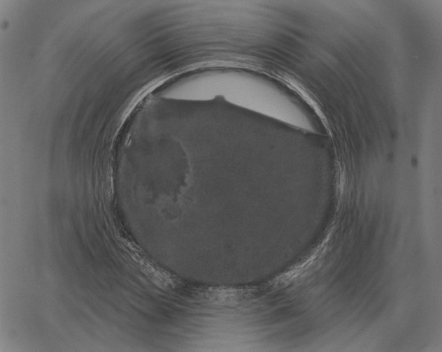 X0000065260829200603031826