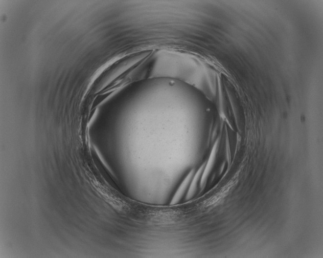 X0000065260830200603031826