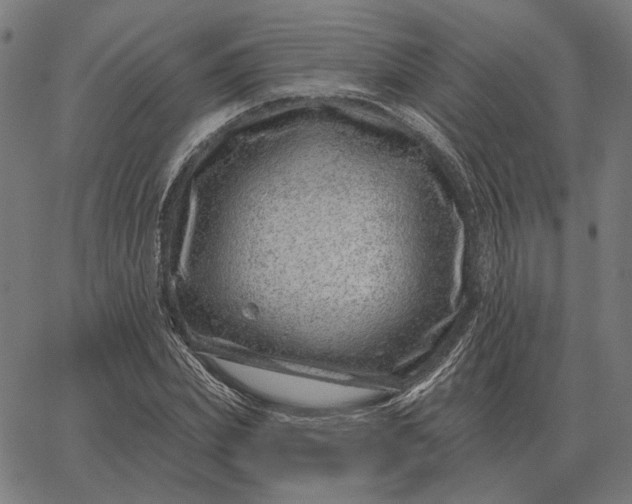 X0000065260831200603031826