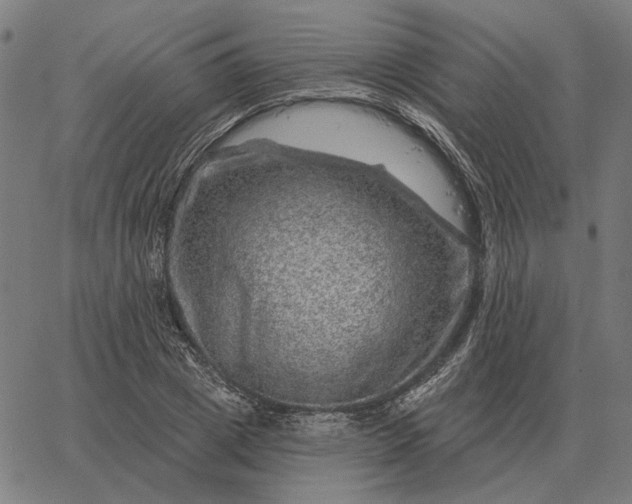 X0000065260833200603031826