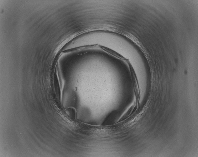 X0000065260834200603031826