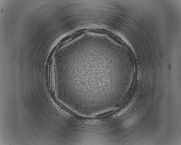 X0000065260837200603031826