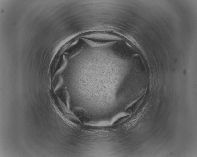 X0000065260838200603031826