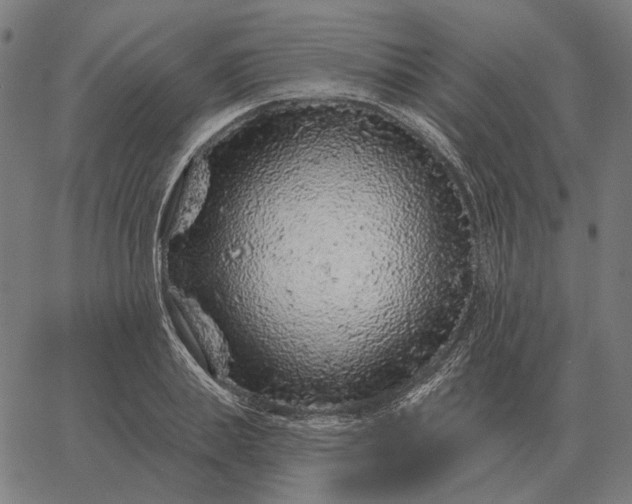 X0000065260839200603031826