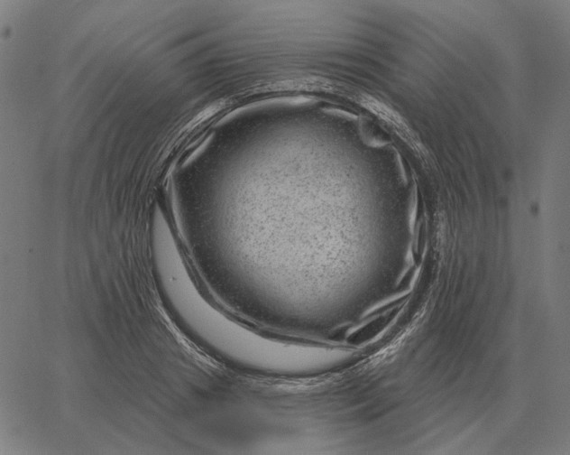 X0000065260841200603031826