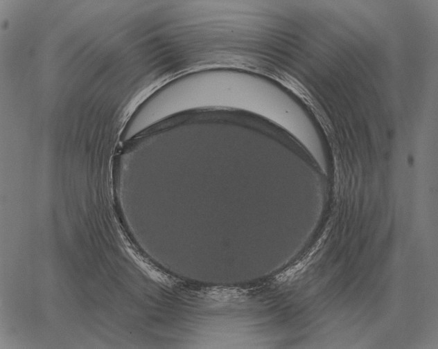 X0000065260842200603031826