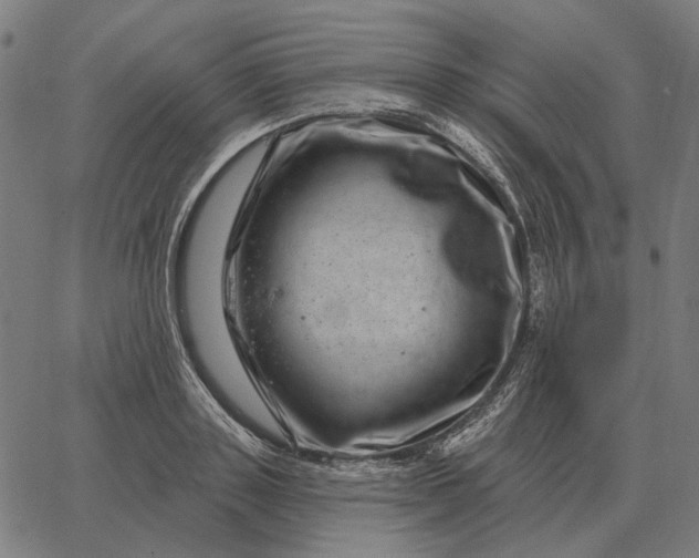 X0000065260843200603031826