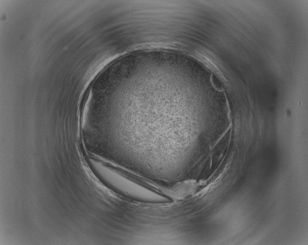 X0000065260844200603031826