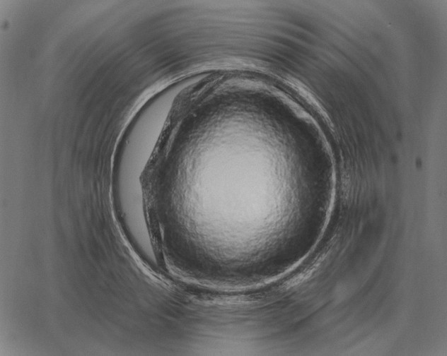 X0000065260845200603031826