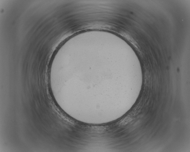 X0000065260848200603031827