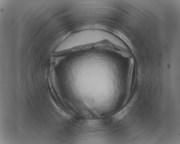 X0000065260849200603031827