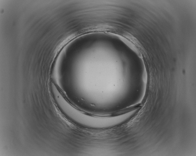 X0000065260850200603031827