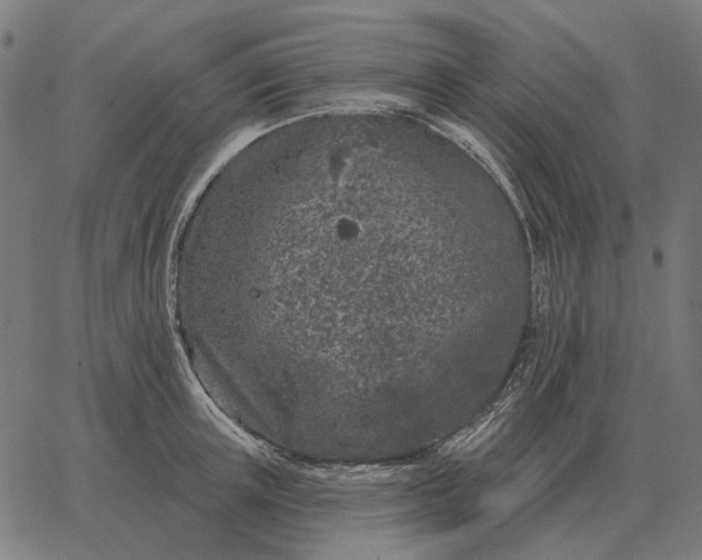 X0000065260851200603031827