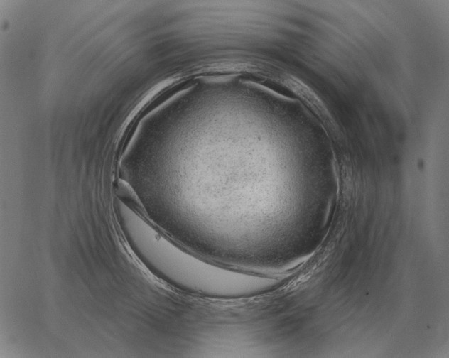 X0000065260852200603031827