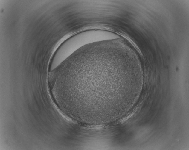 X0000065260853200603031827