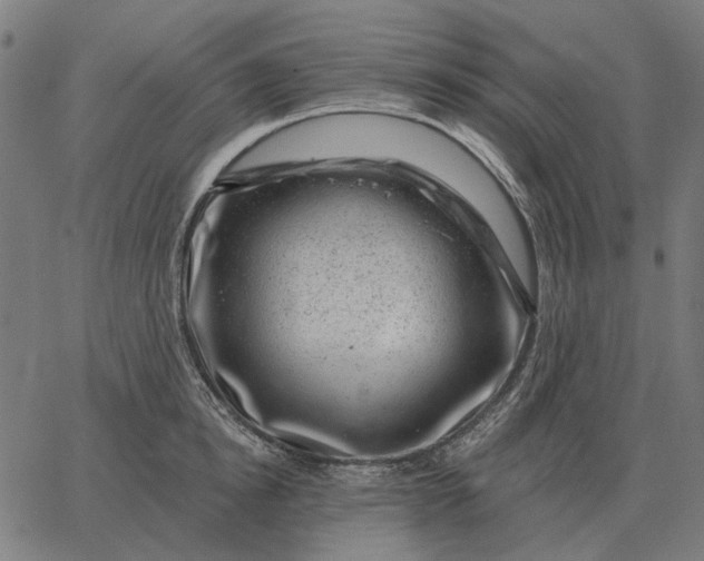 X0000065260854200603031827