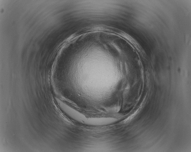 X0000065260857200603031827