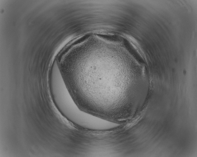 X0000065260859200603031827