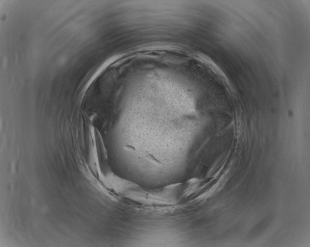 X0000065260860200603031827