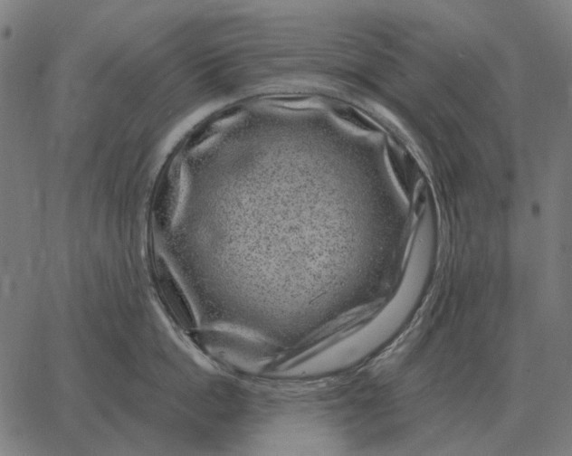 X0000065260862200603031827