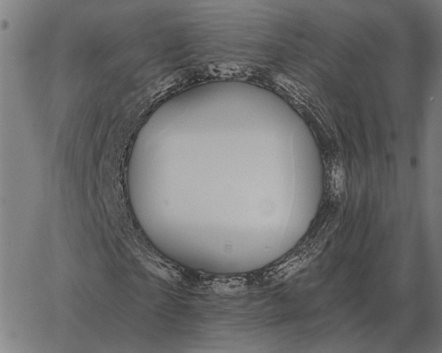 X0000065260865200603031826