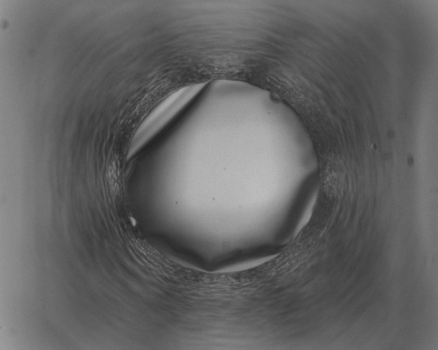 X0000065260866200603031826