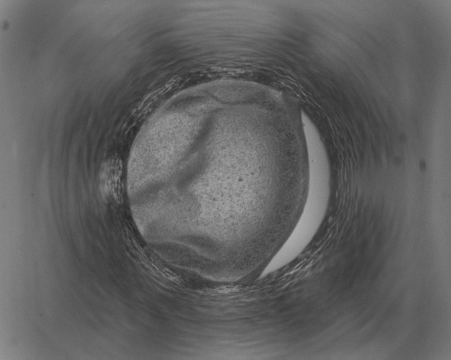 X0000065260867200603031826