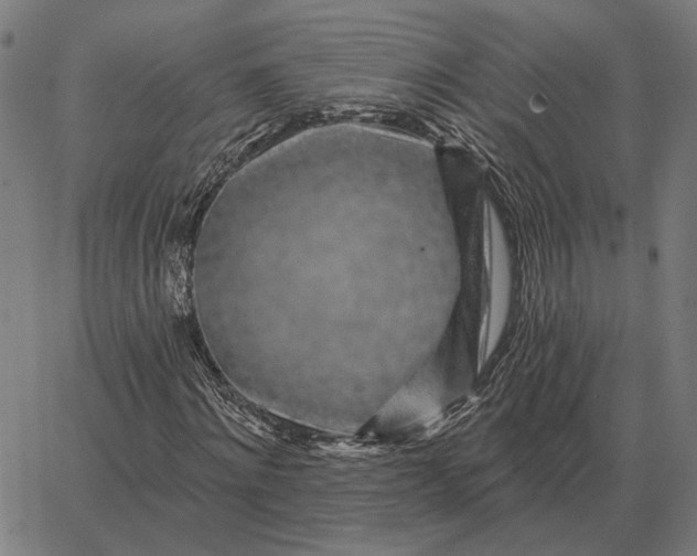 X0000065260868200603031826