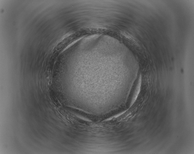 X0000065260870200603031826