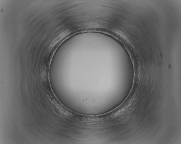 X0000065260873200603031826