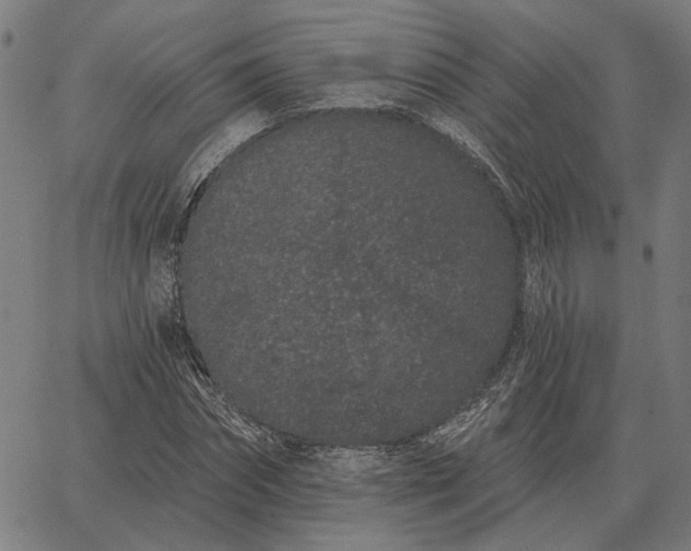 X0000065260874200603031826