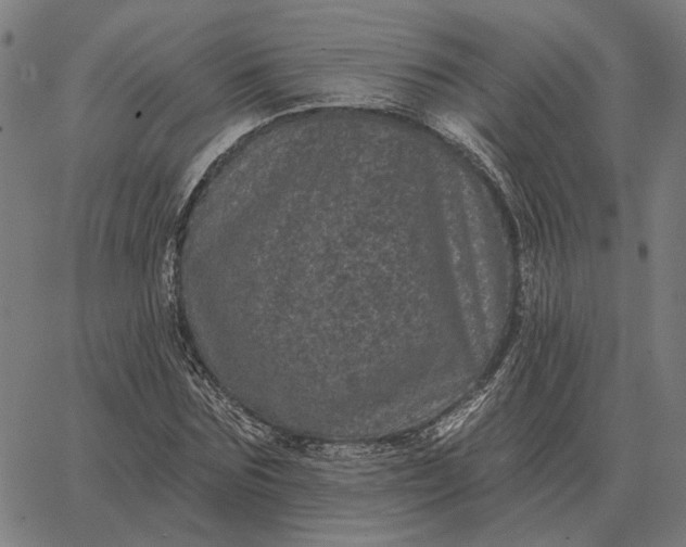 X0000065260875200603031826