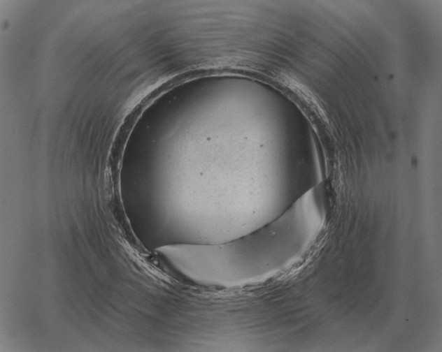 X0000065260876200603031826