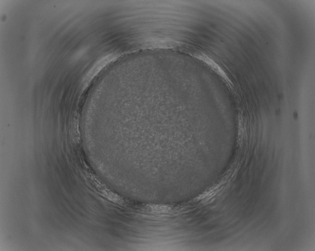 X0000065260878200603031826