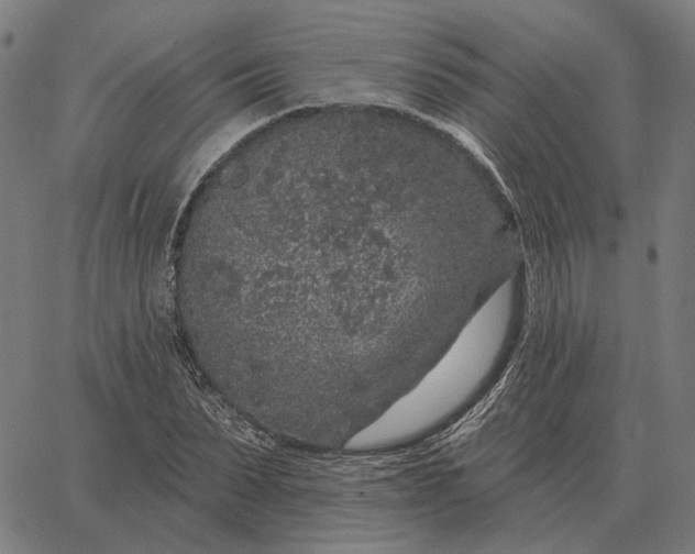 X0000065260879200603031826