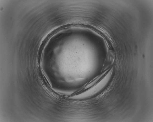 X0000065260880200603031826