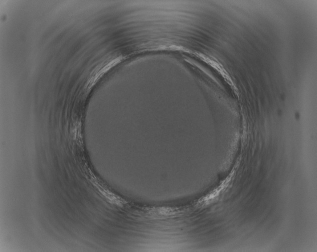 X0000065260881200603031826