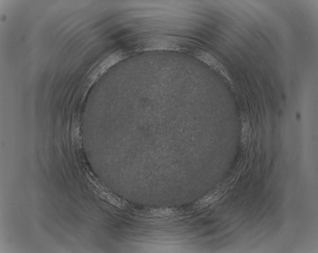 X0000065260882200603031826