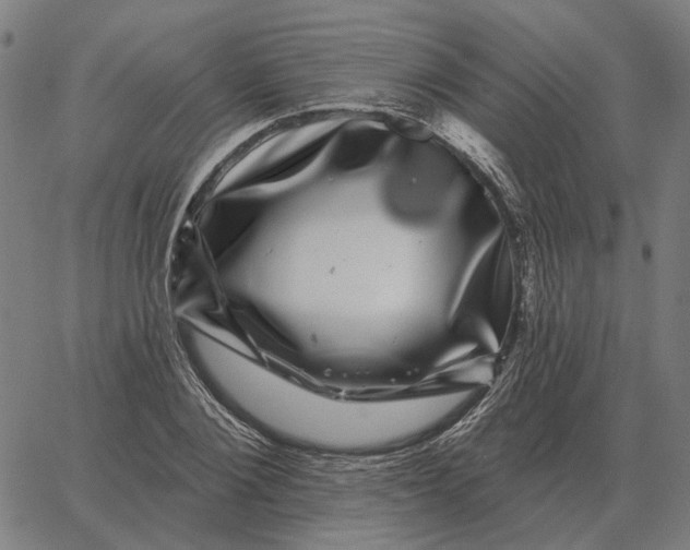 X0000065260884200603031826