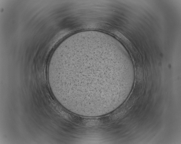 X0000065260886200603031826