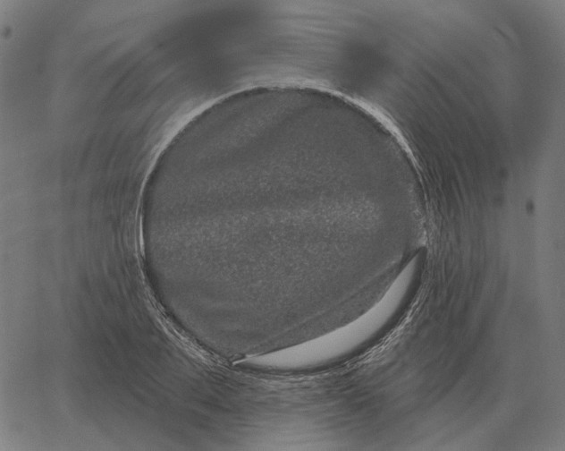 X0000065260887200603031826