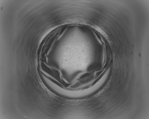 X0000065260888200603031826