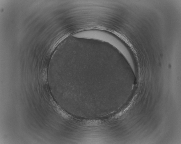 X0000065260889200603031826