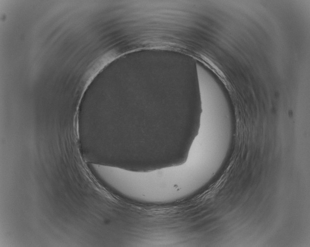 X0000065260891200603031826