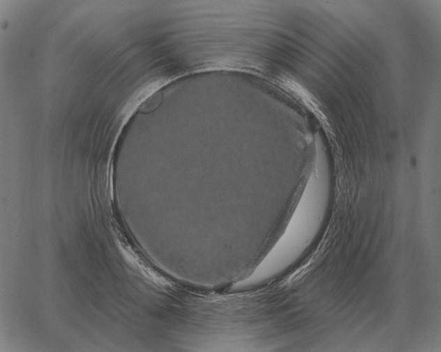 X0000065260892200603031826