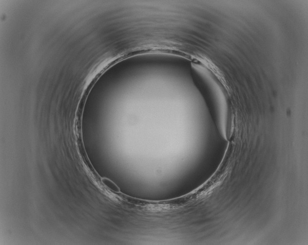 X0000065260893200603031826