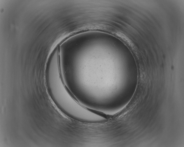 X0000065260894200603031826