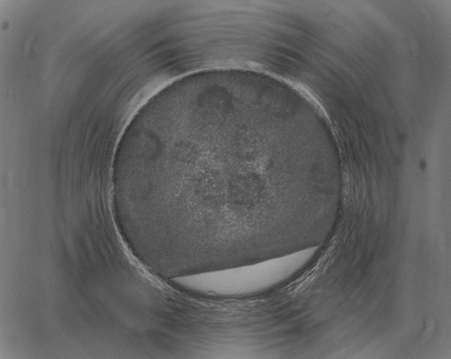 X0000065260895200603031826